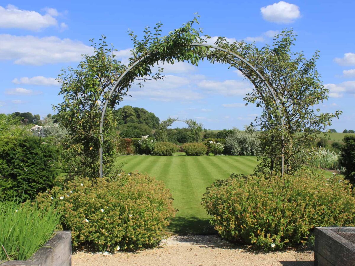 Bespoke Rose Metal Arches by Donkeywell Forge